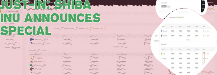 Binance crypto wallet us